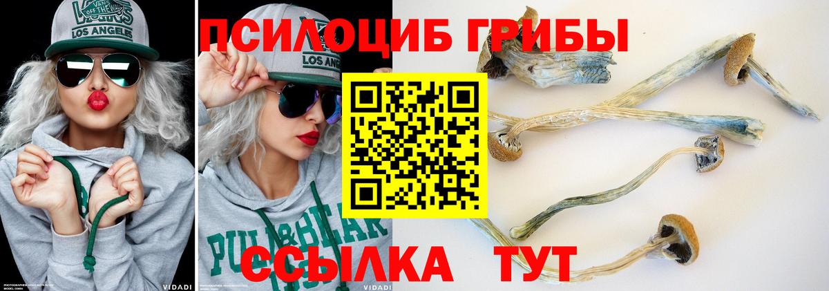 Галлюциногенные грибы мухоморы Асино