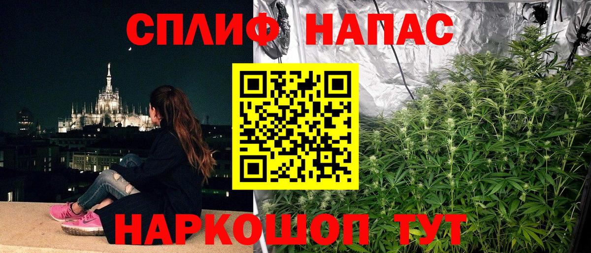 Каннабис марихуана Асино